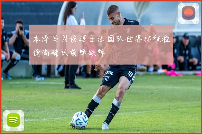 本泽马因伤退出法国队世界杯征程德尚确认前锋缺阵