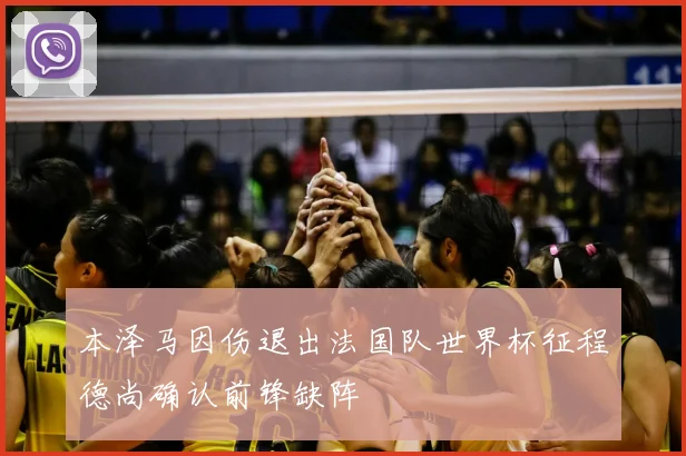 本泽马因伤退出法国队世界杯征程德尚确认前锋缺阵