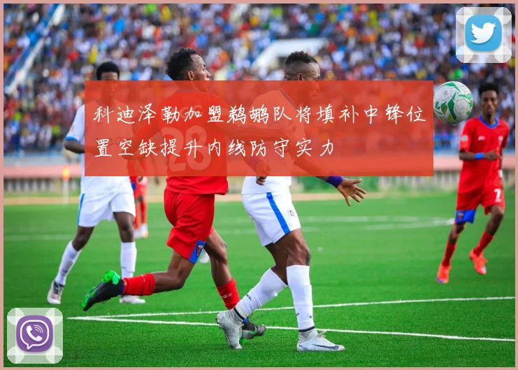 科迪泽勒加盟鹈鹕队将填补中锋位置空缺提升内线防守实力